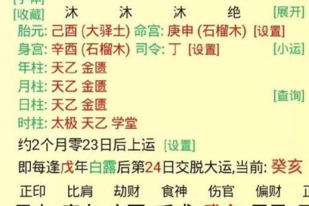 八字排盘怎么看图解