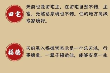 何汉民紫薇斗数