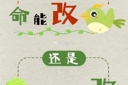 探运八字预测，命运不好可以改运吗？