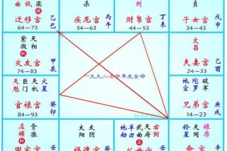 紫薇斗数  -_是什么意思