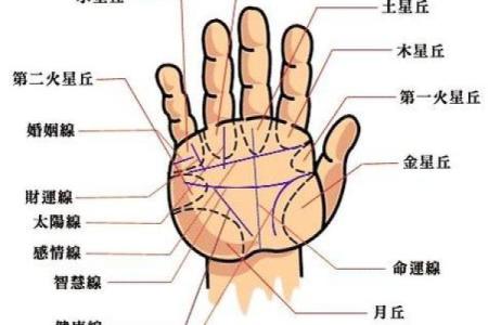 掌纹算命图解 通过手相看智慧