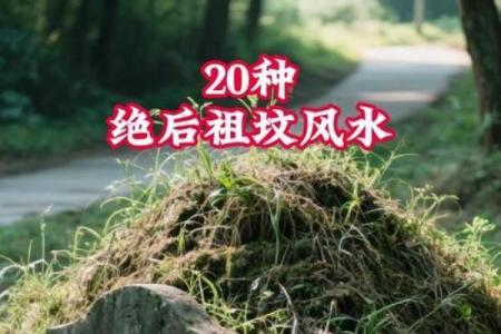 断祖坟吉凶，如何看风水不求人