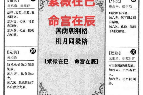 紫薇斗数全书4