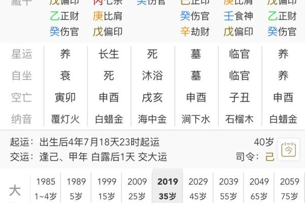 一分钟看懂八字排盘,八字排盘出来怎么解读