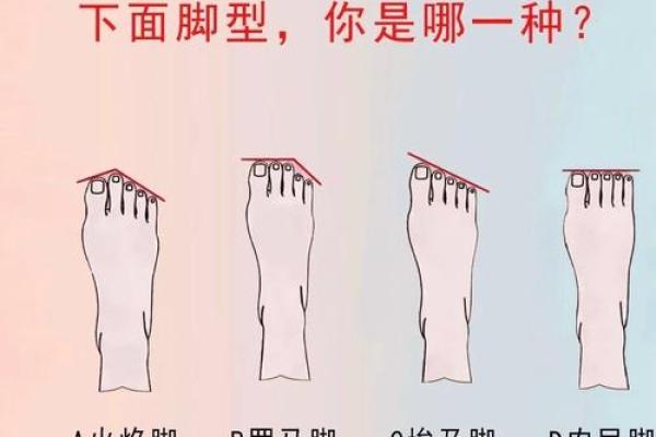 风水最有福气女人的脚型看命运