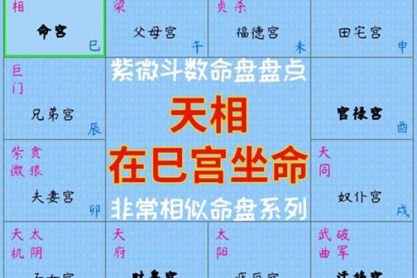 紫薇斗数怀孕生子年份