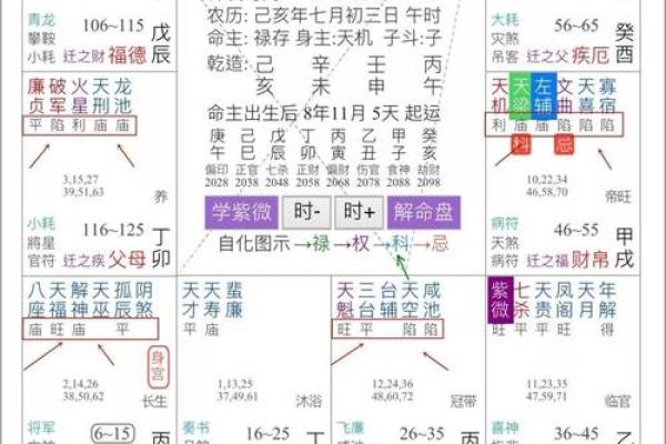 紫微斗数之兄弟宫与诸星,天同星在兄弟宫是什么意思？