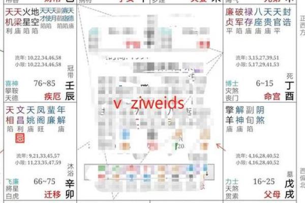 紫微斗数夫妻宫在亥无主星 加桃花主配偶有艺术才能