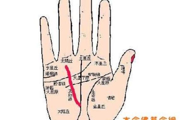 胎记算命图解好坏