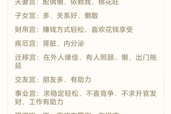 姓名紫薇斗数