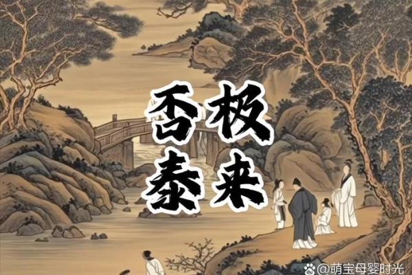 否极泰来紫薇斗数