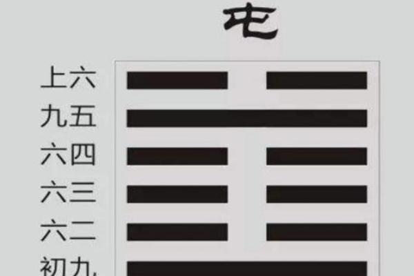 纳甲六爻在线排盘,元亨利贞网在线排盘系统