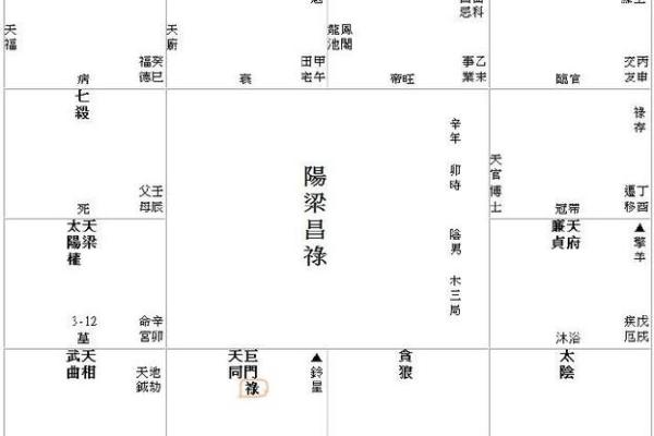 紫薇斗数流日求职
