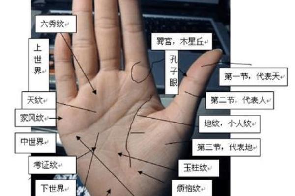 手指算命，手指长短判断一个人的个性