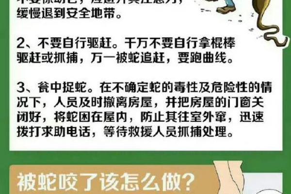 不好的风水_祖坟傍边有蛇脱皮情况