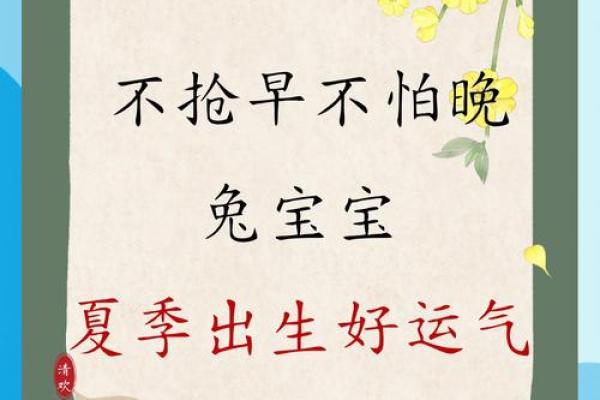 兔宝宝生辰八字