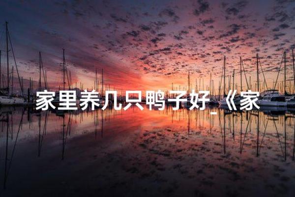风水房子右边养鸭子好吗