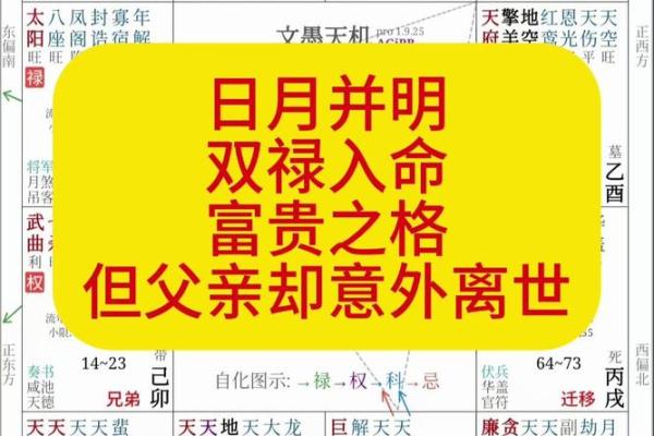 紫薇斗数富豪命