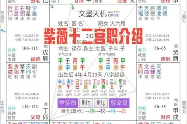 紫薇斗数紫薇星怎么定