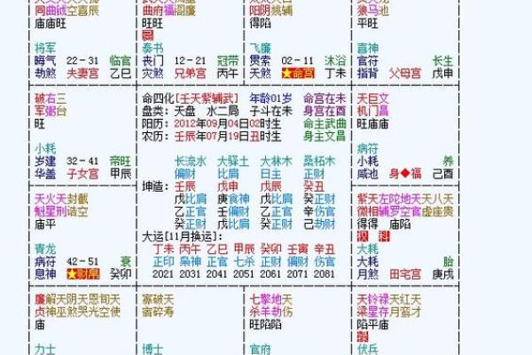 法象紫微斗数 紫微面相学法云居士？