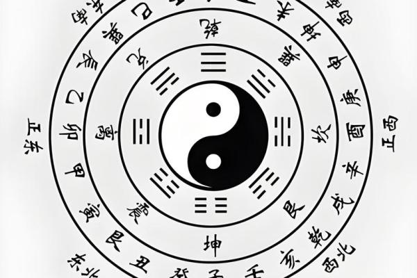 八字巳巳亥