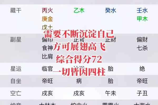 八字巳巳亥