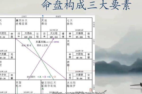 紫微斗数案例42健康：能活到90多岁的命盘
