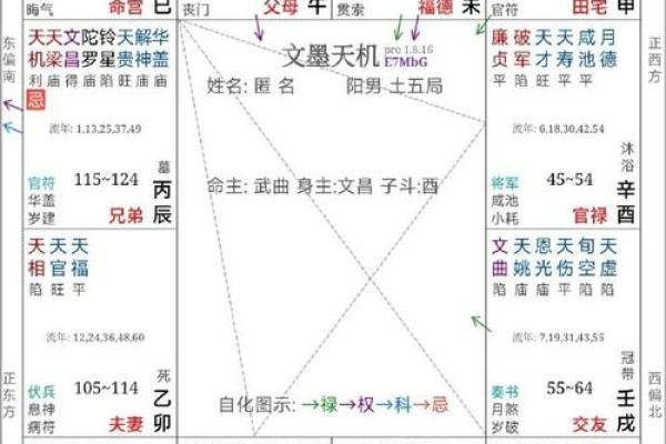紫薇斗数死