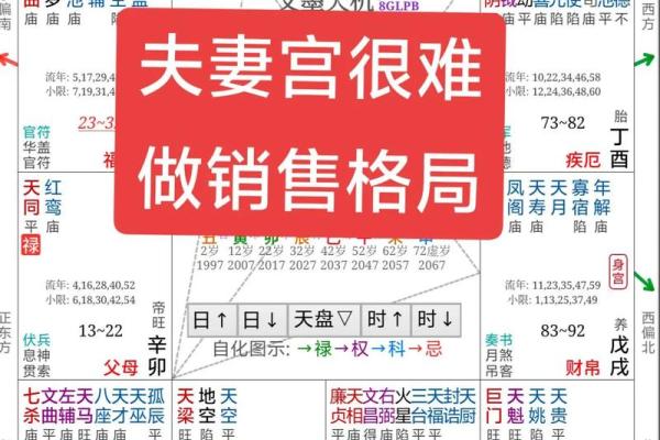 申宫紫薇斗数