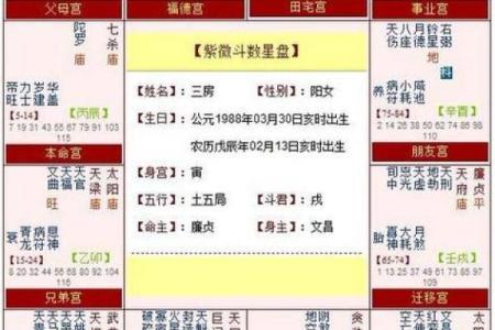 紫微斗数之生年干四化表象：子女宫四化入各宫表象
