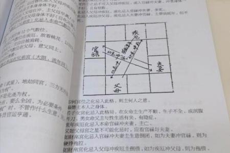 紫薇斗数性向