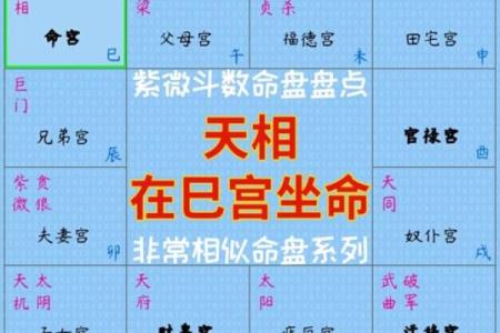 紫薇斗数怀孕生子年份