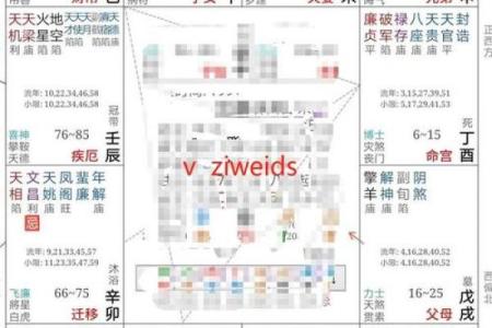 紫微斗数夫妻宫在亥无主星 加桃花主配偶有艺术才能