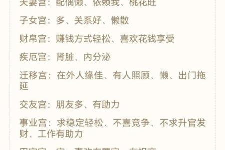 姓名紫薇斗数