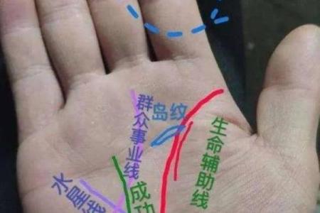 男人断掌手相算命,男人掌纹图解算命