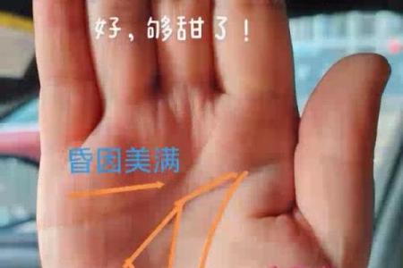 紫薇斗数旺妻