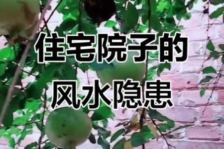 房子前后院子大小风水