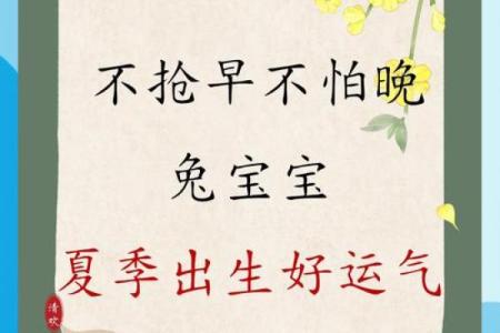 兔宝宝生辰八字