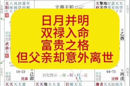 紫薇斗数富豪命