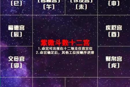 紫薇斗数紫薇星怎么定