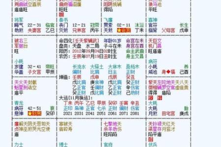 法象紫微斗数 紫微面相学法云居士？