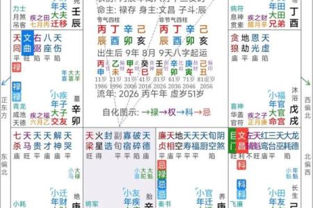 命格紫薇斗数