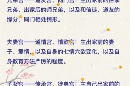 大数据紫薇斗数