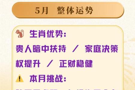 猴年八字