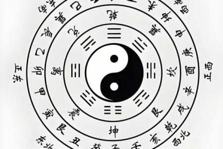 八字巳巳亥