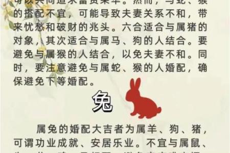 属龙和属鼠的八字合吗