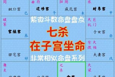 紫微斗数案例42健康：能活到90多岁的命盘