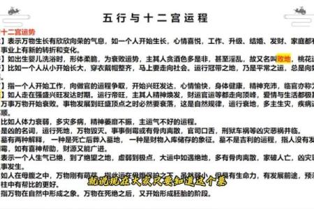 什么是五行八字