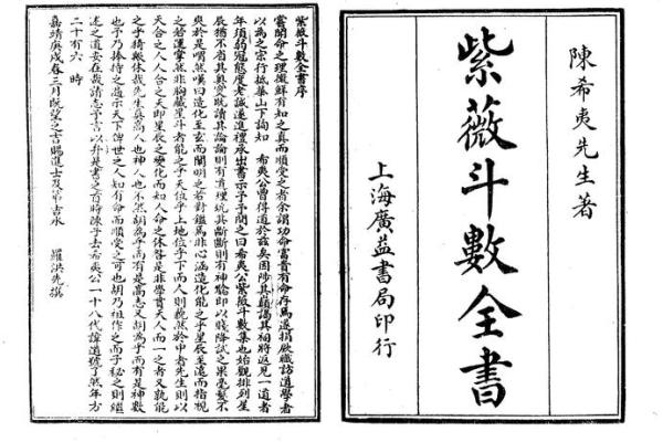 紫薇斗数舞曲