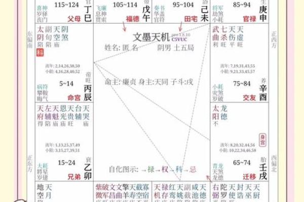 紫微斗数诸星落诸宫之：太阴星官禄宫详解